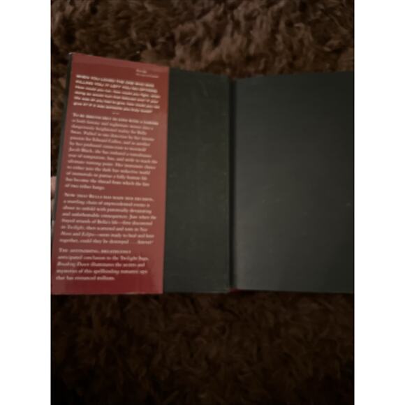 Lot of 2 Twilight Books Eclipse and Breaking Dawn by Stephanie Meyer - Picture 12 of 16